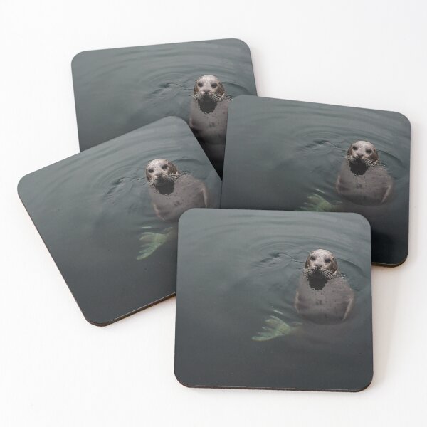 Item preview, Friendly Seal designed and sold by Jane Ruttkayova.