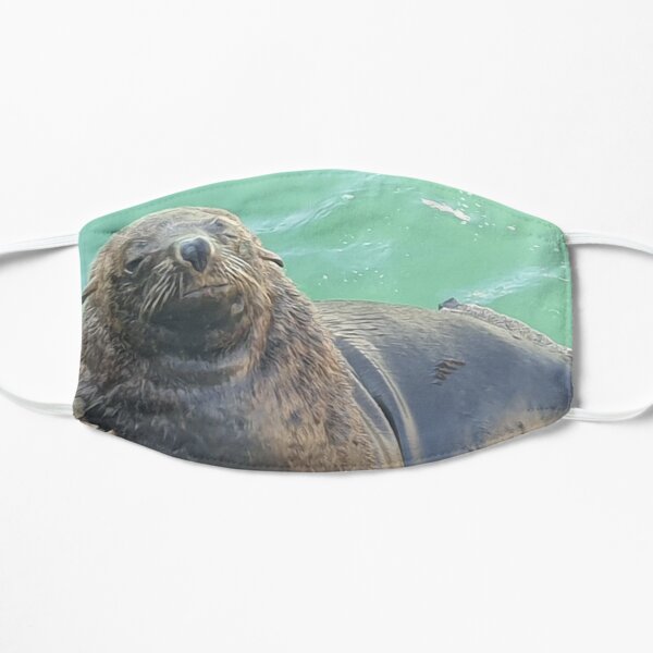 Sleepy Seal Mask