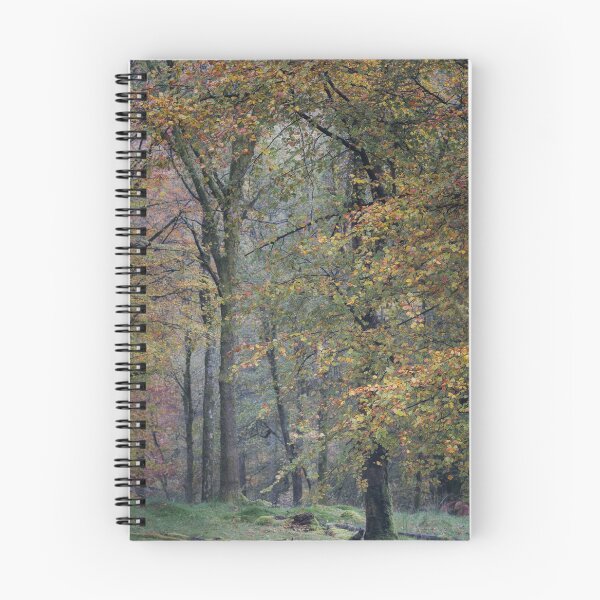 Item preview, Forever Autumn designed and sold by john lever.