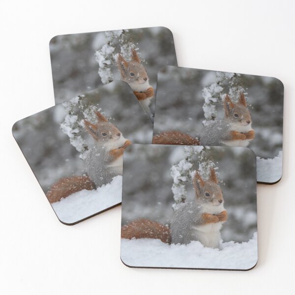 Item preview, Red Squirrel designed and sold by wildlifephoto.