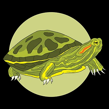 Artwork thumbnail, Turtle by DavinciStore21