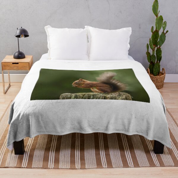 Item preview, Red squirrel eating hazelnut designed and sold by wildlifephoto.