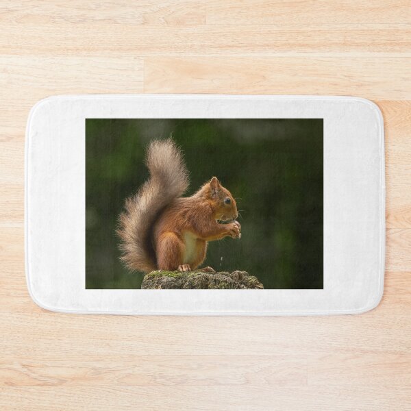 Item preview, Red Squirrel eating nut designed and sold by wildlifephoto.