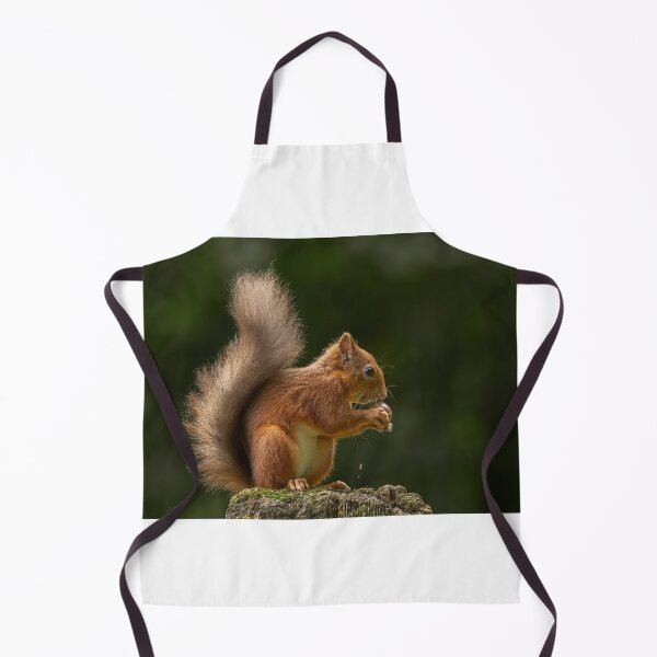Item preview, Red Squirrel eating nut designed and sold by wildlifephoto.