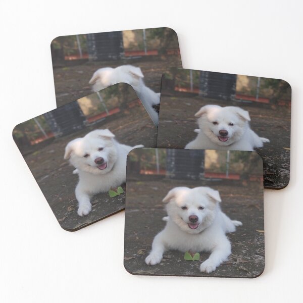 Item preview, cute white dog photo print designed and sold by Valriogd.
