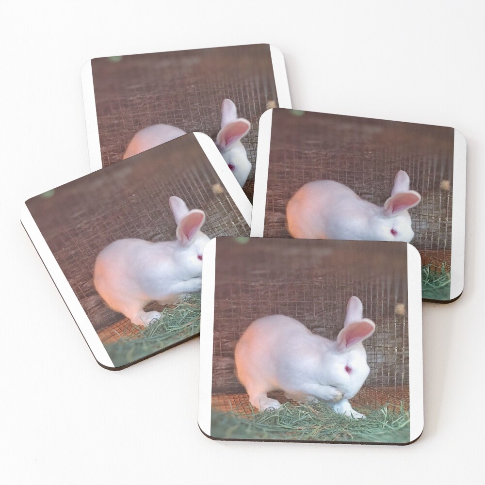 Item preview, Coasters (Set of 4) designed and sold by SashaSprite.