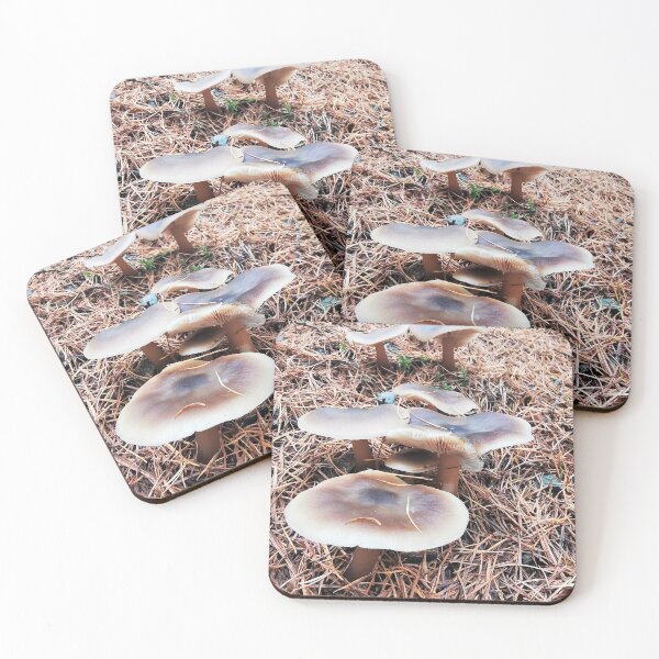 Item preview, Mushroom Steps designed and sold by dmcdesigns.