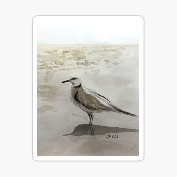 Produits Sur Le Theme B C3 b C3 Mouette Redbubble
