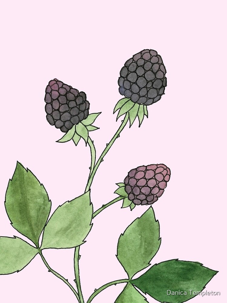 Thumbnail 4 von 4, iPhone-Hülle, Brombeere Aquarellmalerei designt und verkauft von NatureNerdiness.
