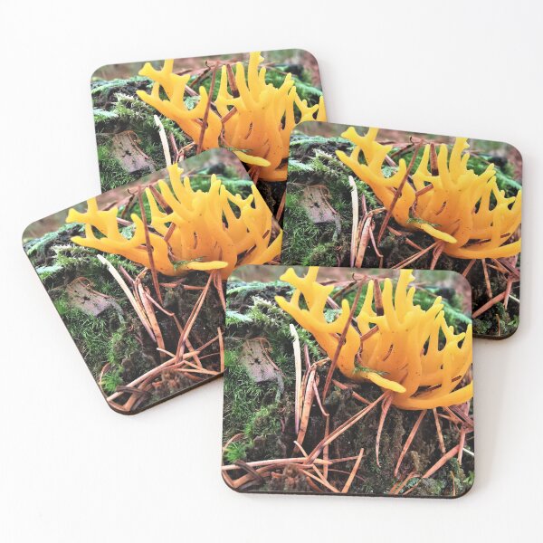 Item preview, Fungi designed and sold by dmcdesigns.