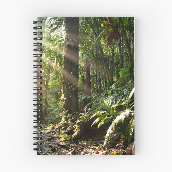 Aperçu de l'œuvre Rayons de soleil dans la jungle créée et vendue par reisefoto.