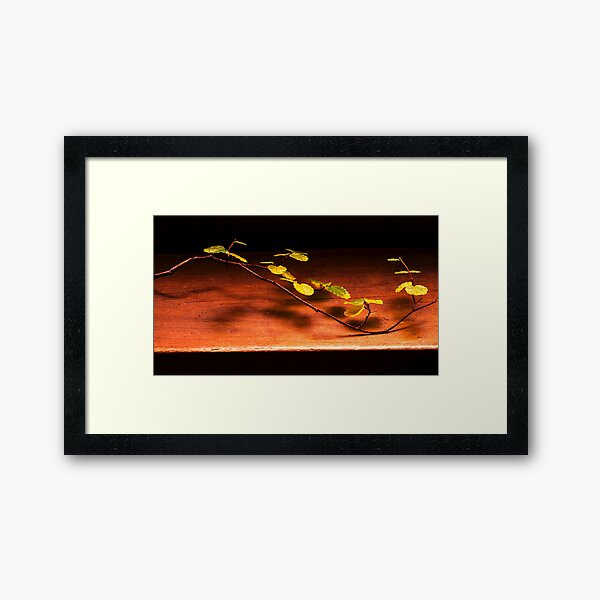Comp day fagus week 2014 Framed Art Print