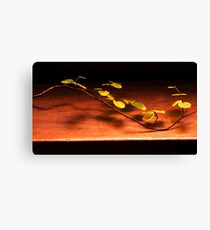 Comp day fagus week 2014 Canvas Print