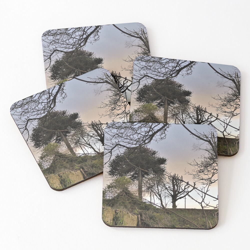 Item preview, Coasters (Set of 4) designed and sold by Fara.