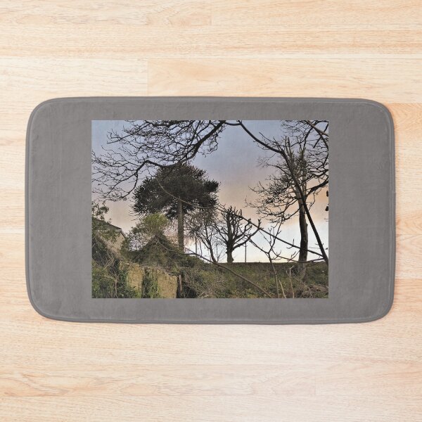 Item preview, Trees In A Weird Light designed and sold by Fara.