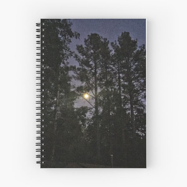 Item preview, Big Trees at Night designed and sold by SashaSprite.