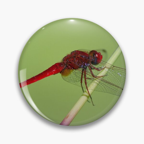 Item preview, Red Dragonfly designed and sold by Miguel Andrade.