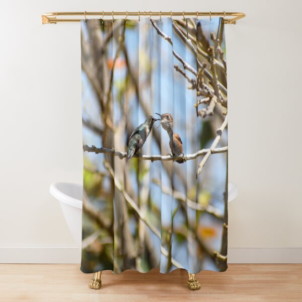 Hummingbirds At Nature's Best Photo By Concetta Ellis Shower Curtain