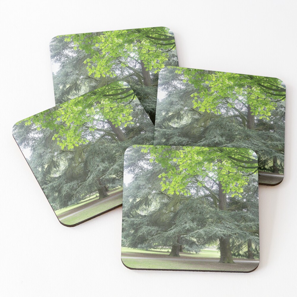 Item preview, Coasters (Set of 4) designed and sold by Davies72.