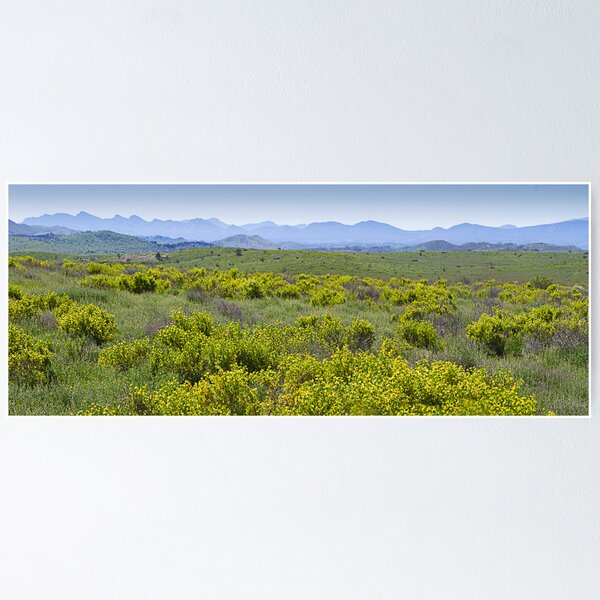 Item preview, Flinders Vista designed and sold by sapics.