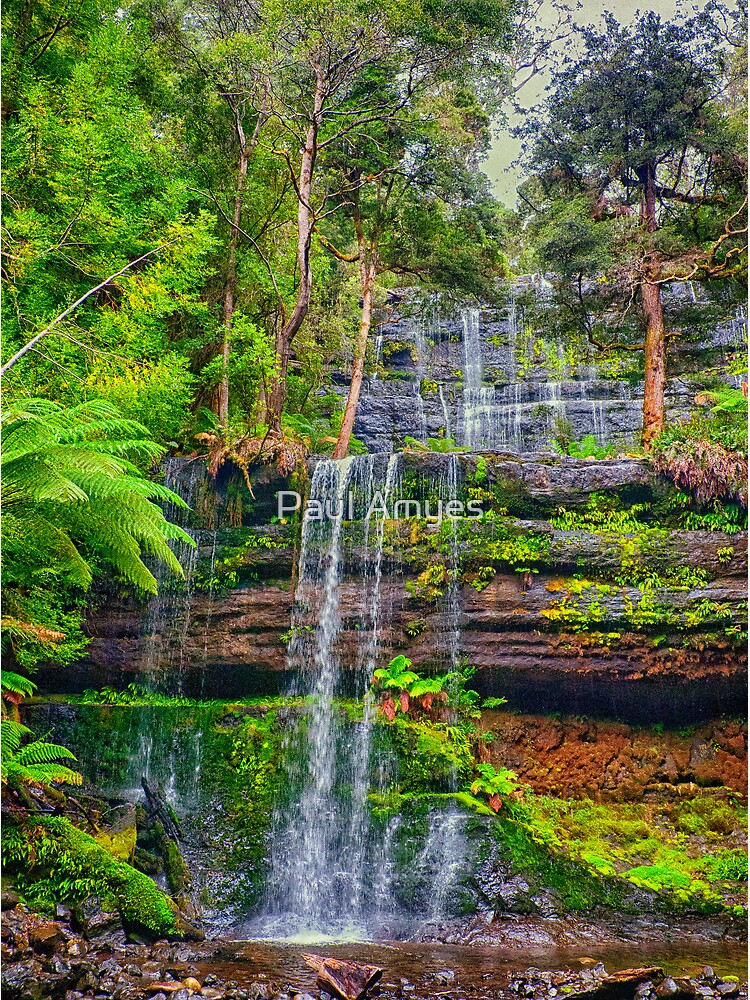 Russell Falls by AmyesPhotograph