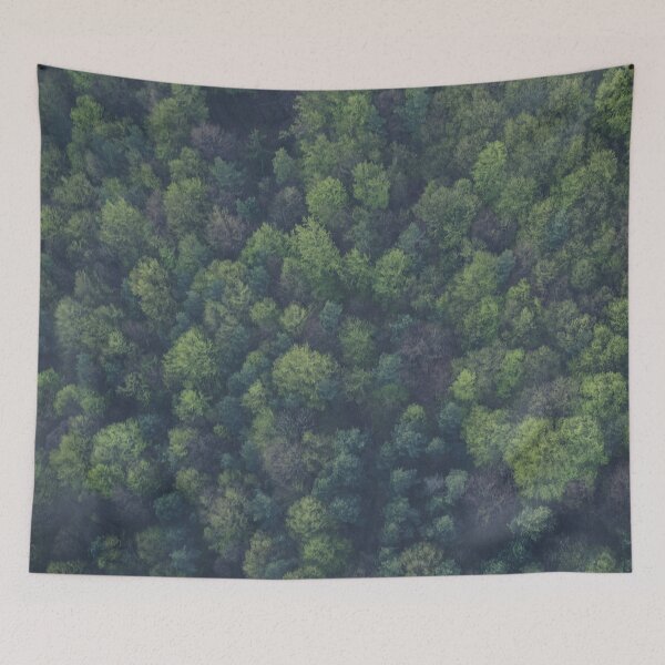 Item preview, Forest Birds-eye View designed and sold by Damian Strzechowski.