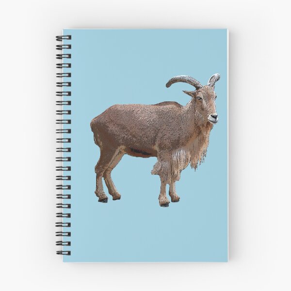 Item preview, Barbary Sheep Color Print designed and sold by designsasstultd.