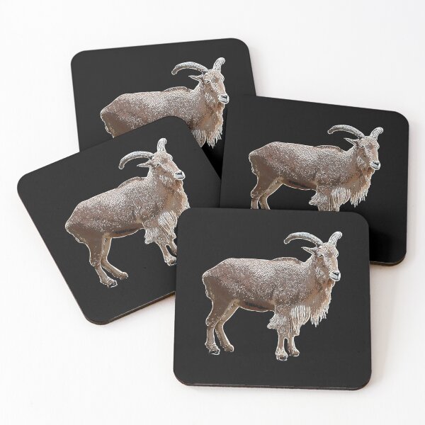 Barbary Coasters for Sale Redbubble