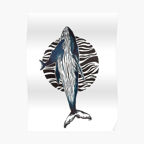 Baleine endormie avec son baleineau Poster