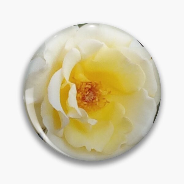 Item preview, Yellow rose designed and sold by Magileo.