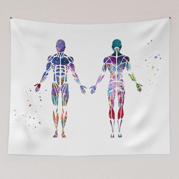 Item preview, Male Muscle Anatomy Front and Back designed and sold by EvasDreams.