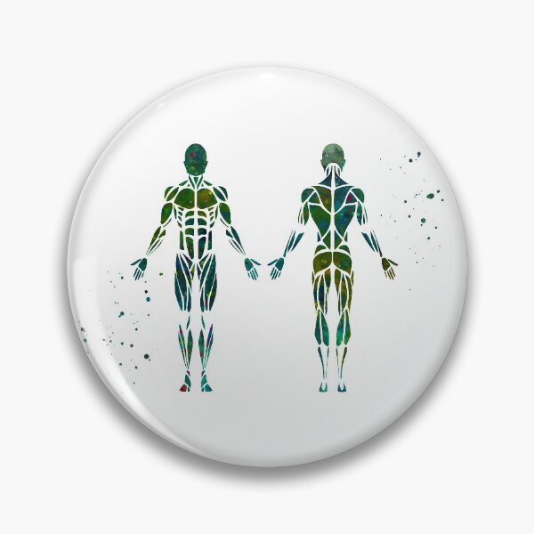 Item preview, Male Muscle Anatomy Front and Back designed and sold by EvasDreams.
