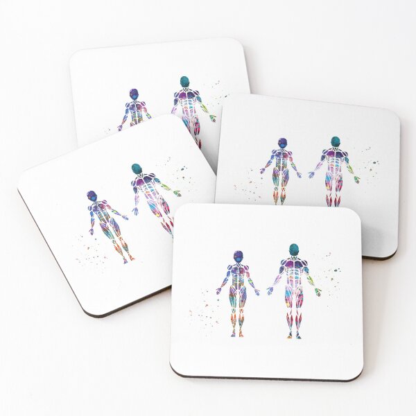 Item preview, Female and Male Frontal Muscle Anatomy  designed and sold by EvasDreams.