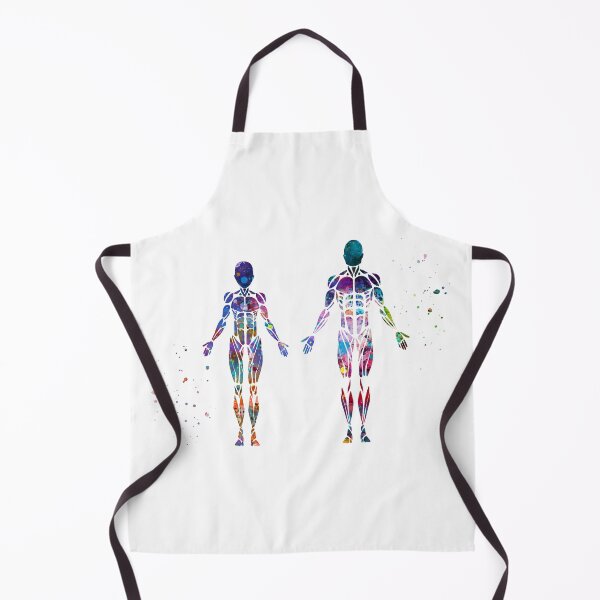 Item preview, Female and Male Frontal Muscle Anatomy designed and sold by EvasDreams.