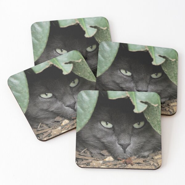 Item preview, r 2529/  6  Chat-Cat  " Grisous  en affut ! "  finition 2020 par Okaio Créations - Olavia&Olao  designed and sold by o.okaïo.
