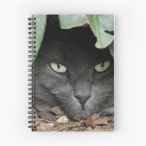 Item preview, r 2529/  6  Chat-Cat  " Grisous  en affut ! "  finition 2020 par Okaio Créations - Olavia&Olao  designed and sold by o.okaïo.