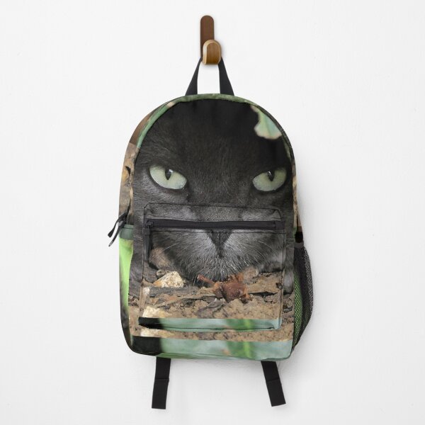 Item preview, r 2529/ 6 Chat-Cat " Grisous en affut ! " finition 2020 par Okaio Créations - Olavia&Olao designed and sold by o.okaïo.
