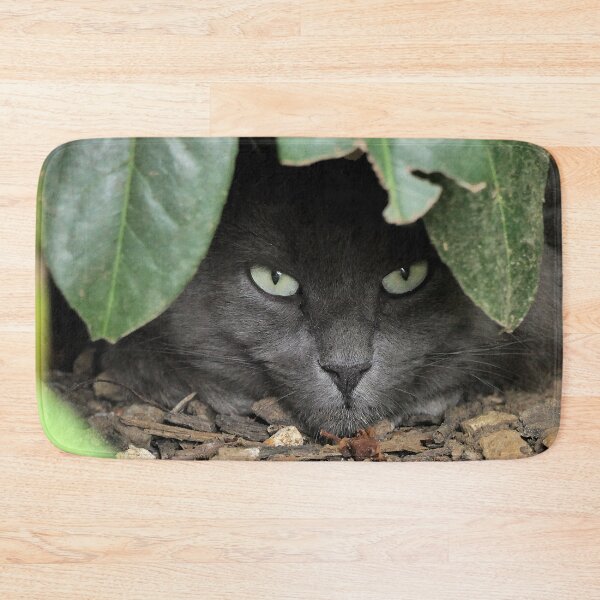 Item preview, r 2529/  6  Chat-Cat  " Grisous  en affut ! "  finition 2020 par Okaio Créations - Olavia&Olao  designed and sold by o.okaïo.