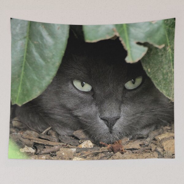 Item preview, r 2529/  6  Chat-Cat  " Grisous  en affut ! "  finition 2020 par Okaio Créations - Olavia&Olao  designed and sold by o.okaïo.