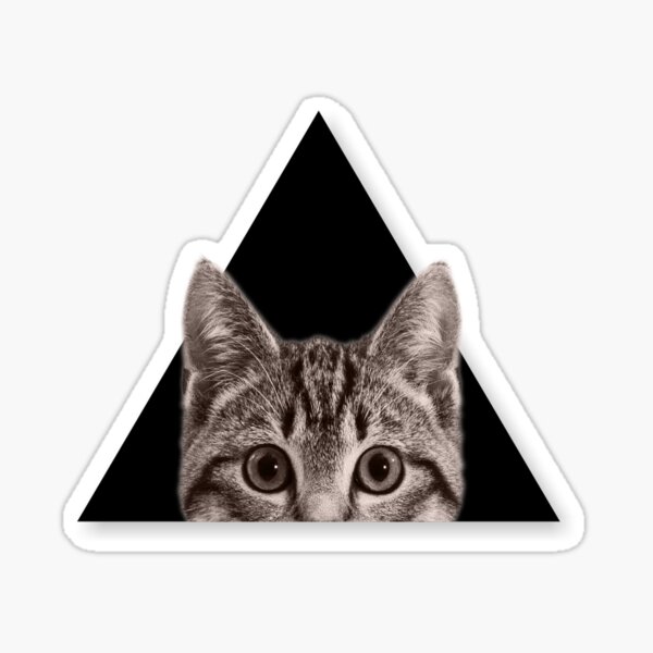 Cute Cat Sticker For Sale By Raed Salem Redbubble 8677