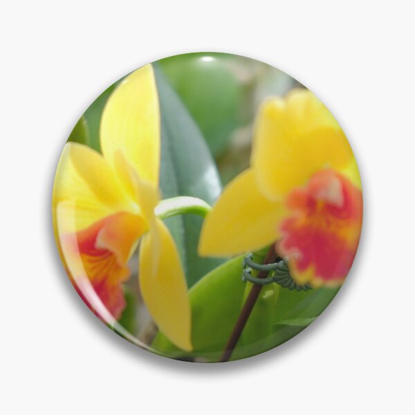 Item preview, Yellow Orchid Blossom - Nature Photography designed and sold by legacyholistic.