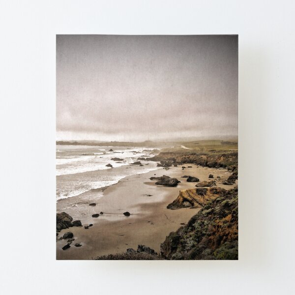 Canvas Mounted Print