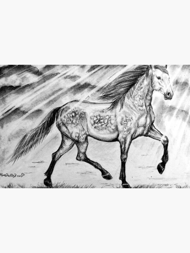 "Horse drawing graphite art" Poster for Sale by horseaddicted Redbubble