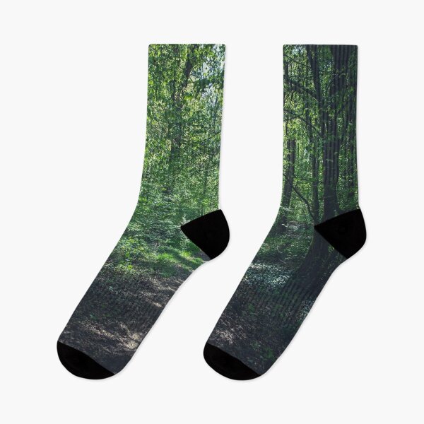 Item preview, Road through the Forest designed and sold by Damian Strzechowski.