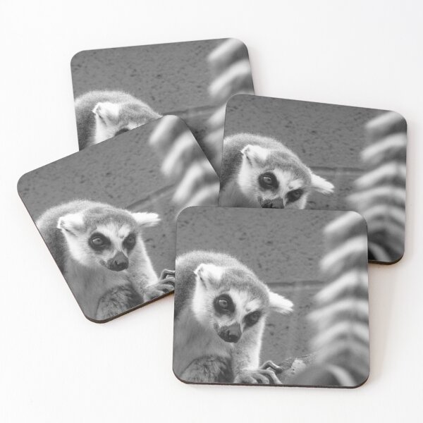 Item preview, Ring tailed lemur Lemur catta designed and sold by Rockmonkey.