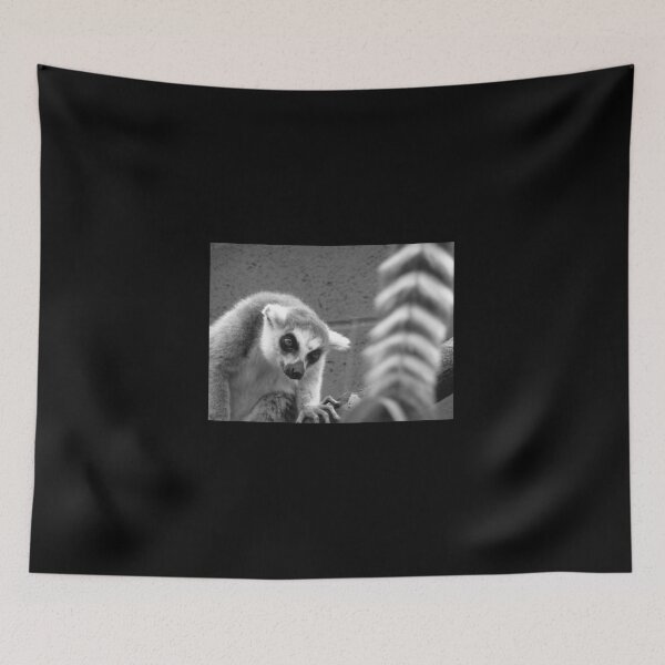Item preview, Ring tailed lemur Lemur catta designed and sold by Rockmonkey.