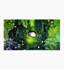 Totoro Napping - My Neighbor Totoro Photographic Print
