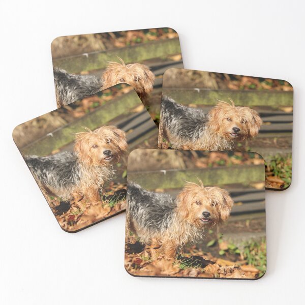 Item preview, Did someone says biscuits? designed and sold by GreyFeatherPhot.