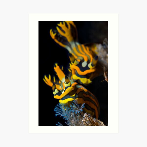 Nudi Pair Art Print