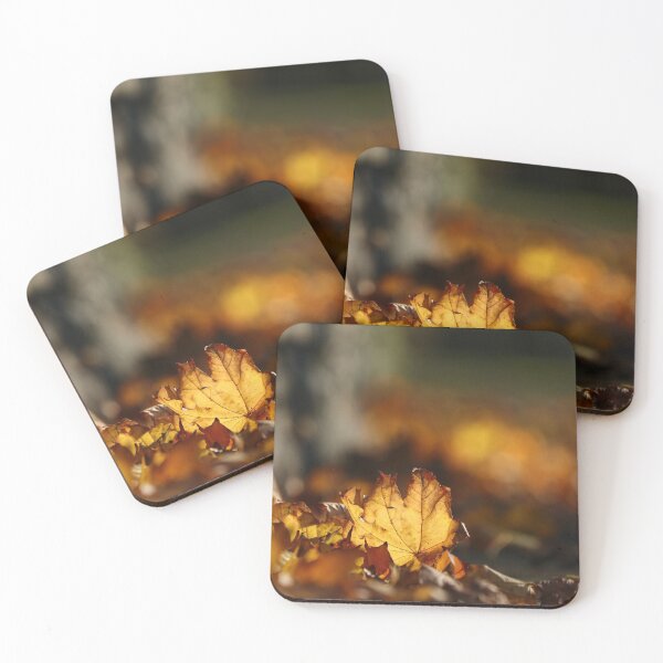 Item preview, Backlit autumn leaves designed and sold by GreyFeatherPhot.